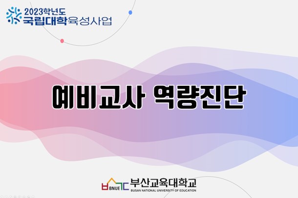 예비교사 역량진단